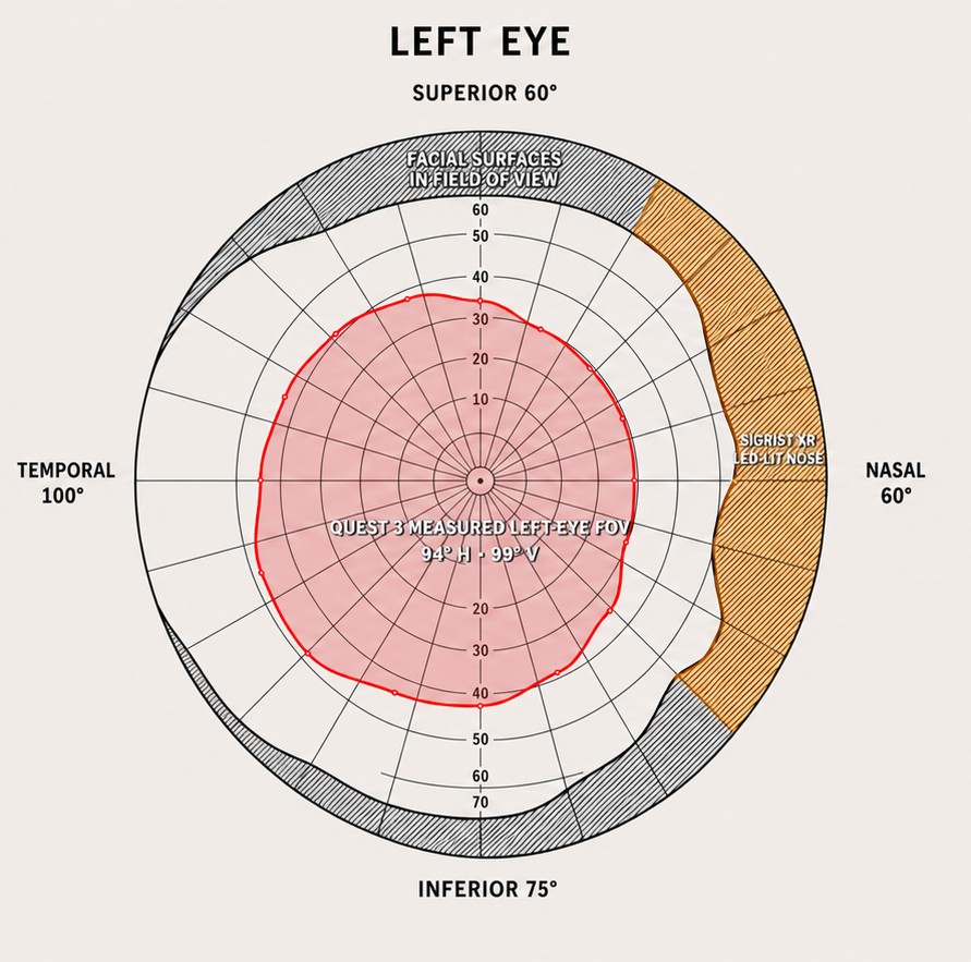 Left-eye Quest 3 rendered field with visible facial surfaces and the illuminated nose region identified
